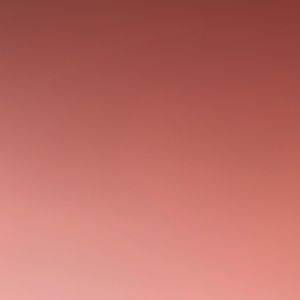 Meet your Posher, Ariana